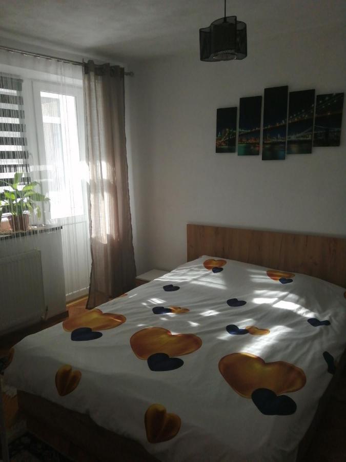 Angel House Central Aparament 彼得罗沙尼 外观 照片